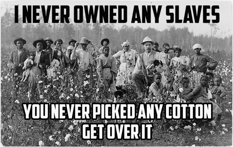 owning-slaves-pick-cotton-get-over-it-sylvana-simons-768x484
