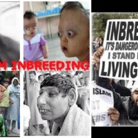 Islam Inbreeding, IQ and Aggression